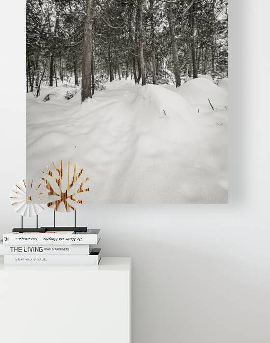 Winter Through The Trees by Blaine Stoner
