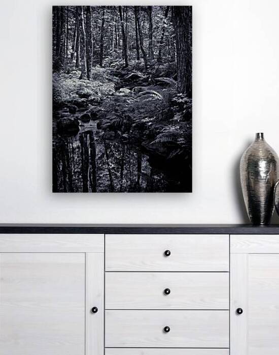 The Still Forest by Blaine Stoner