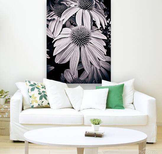 Cone of Flowers by Blaine Stoner