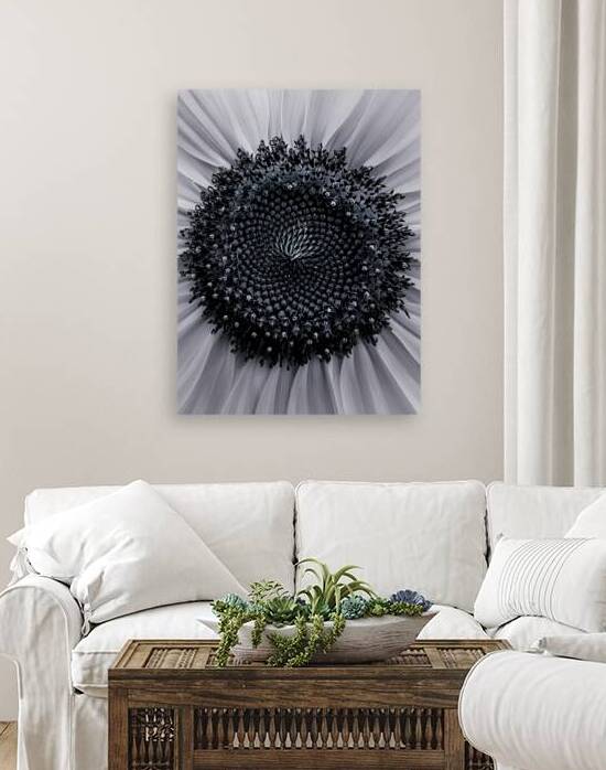 Spiraling Sun  by Blaine Stoner