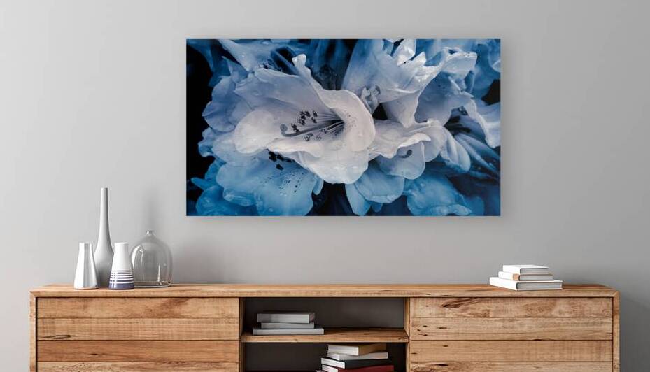 Drops On Azaleas In Blue by Blaine Stoner