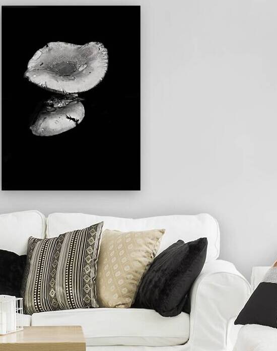 Reflecting Mushroom by Blaine Stoner