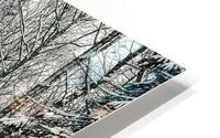 The Snow Path HD Metal print