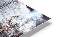 The Winter Pass HD Metal print