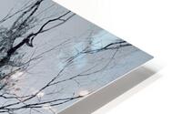 Winter s Sun HD Metal print