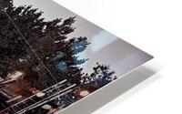 The Antique Store  HD Metal print