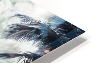 Wispy Palms HD Metal print