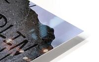 Forget Not  HD Metal print