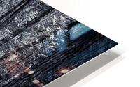 The Still Forest HD Metal print