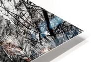 Winter on the Bagaduce HD Metal print