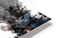 The Mossy Pines HD Metal print