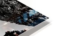 The Stretched Pines HD Metal print