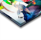 LA FEMME OISEAU  Acrylic print