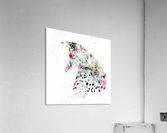GROS MINOU Acrylic Print