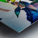 LA FEMME OISEAU  Metal print