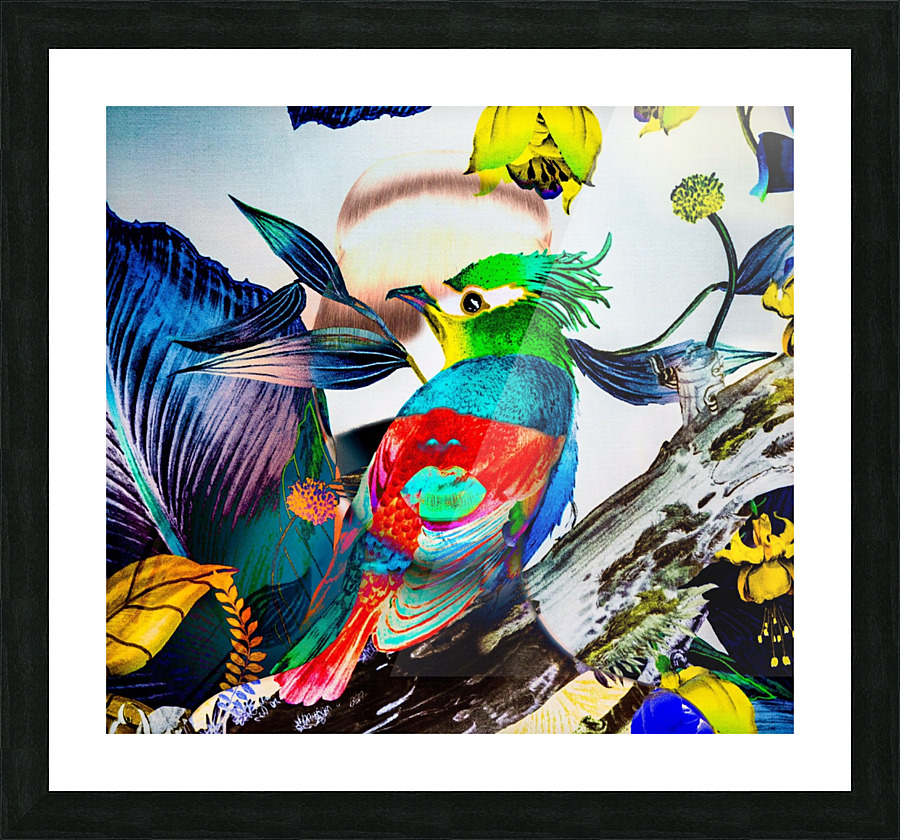 LA FEMME OISEAU  Picture Frame print