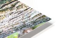 Playtime  HD Metal print