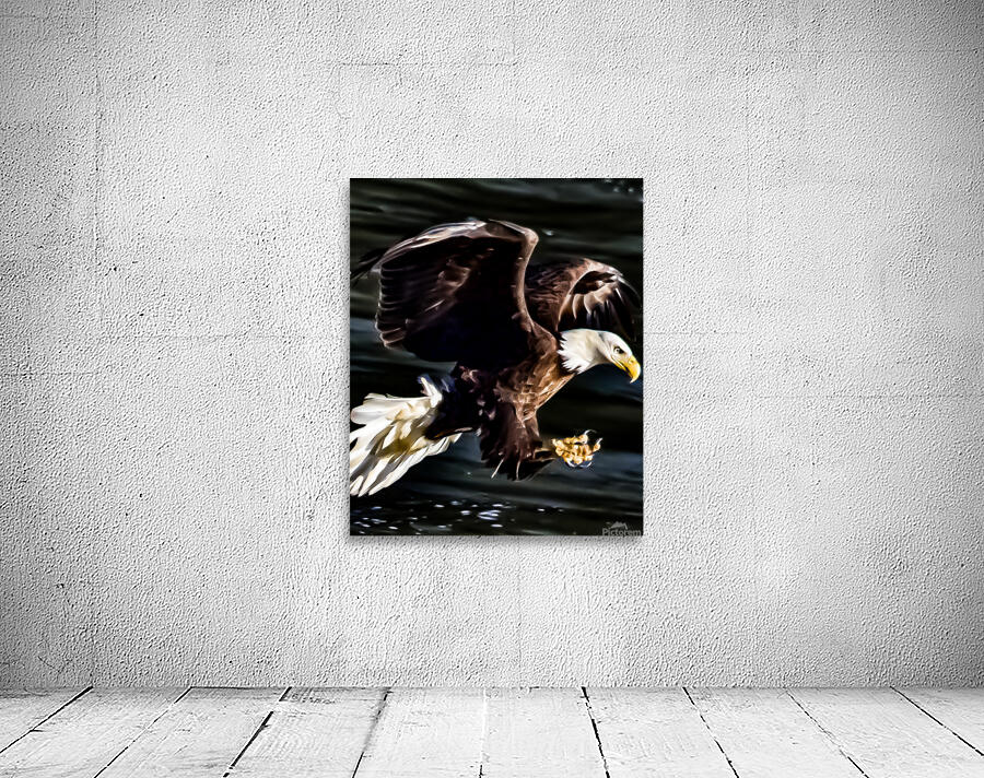 Bald Eagle fishing  Wall Preview