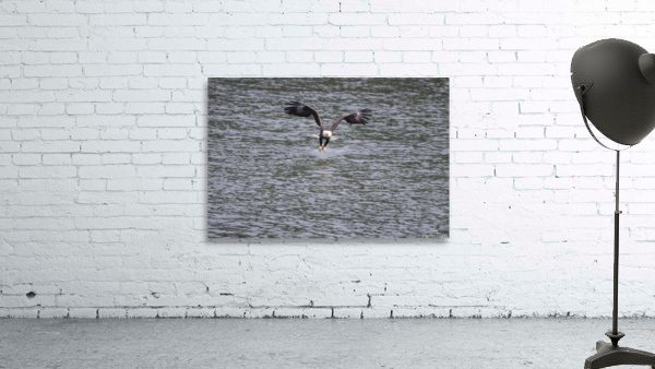 Dinner time  Wall Preview