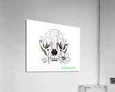 Fox Skull With Flower Acrylic Print