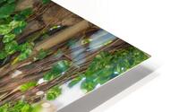 Banyan tree HD Metal print