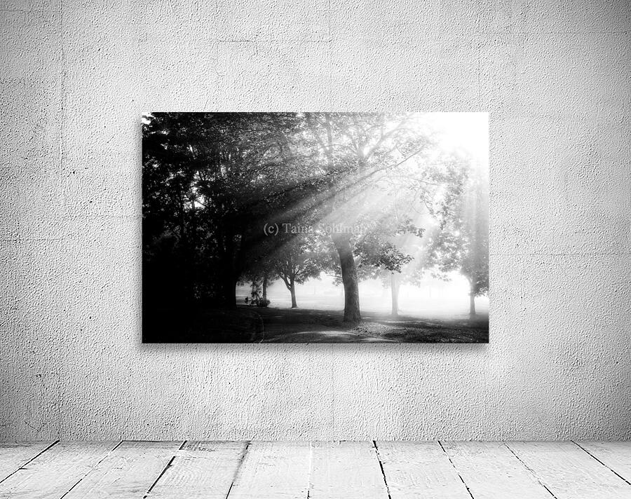 Magic Light and Shadow  Wall Preview