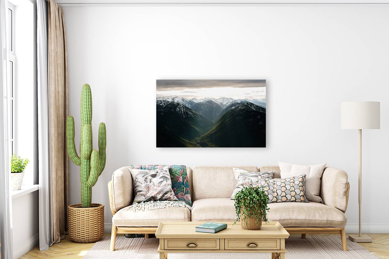 Beams of Light at Hurricane Ridge Reproduction