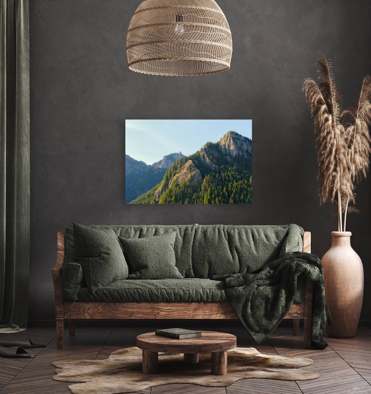 Light in the Olympics Reproduction