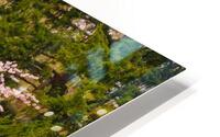 Cherry Blossoms HD Metal print