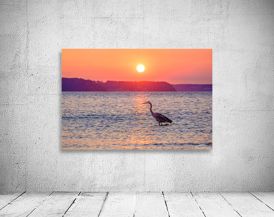 Blue Heron Sunrise Wall Preview