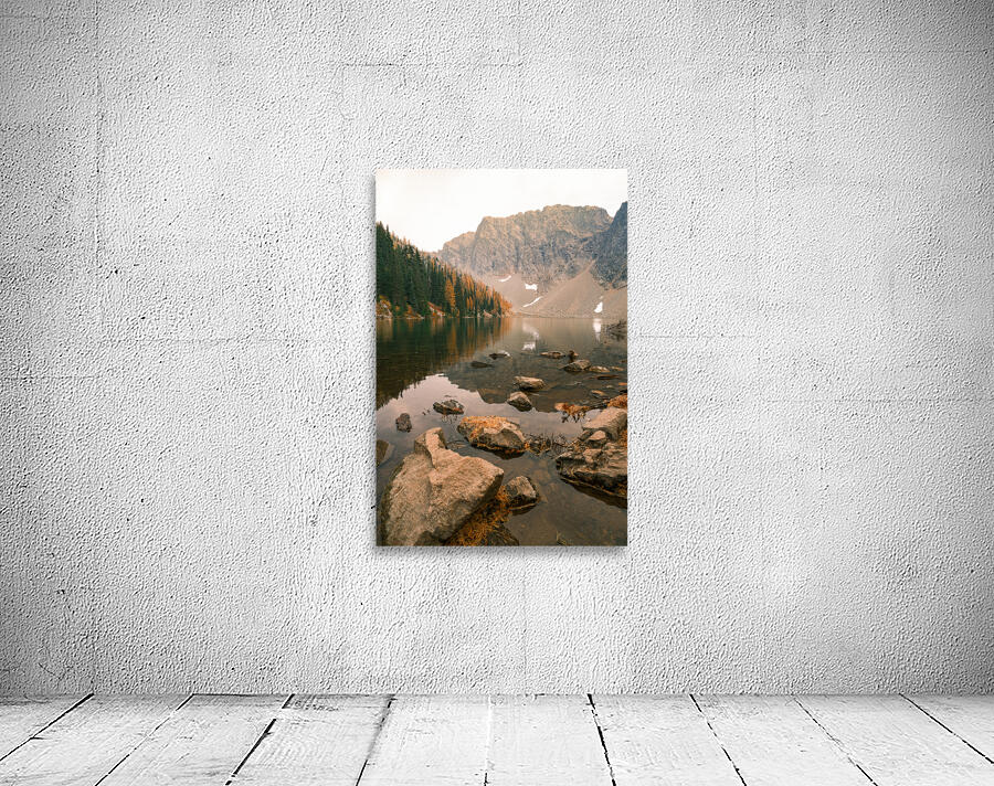 Larch Madness Wall Preview