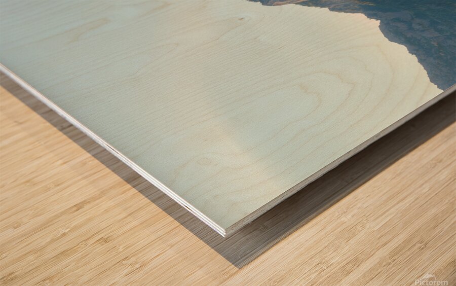 Light in the Olympics Wood print