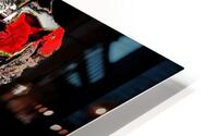 Black Catalan HD Metal print