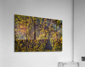 Water shapes Acrylic Print