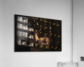 Rest Acrylic Print