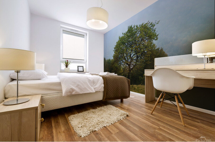 Natural frames Mural print