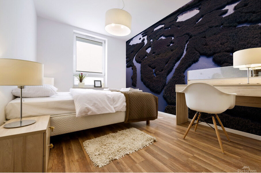 Marsh patterns Mural print