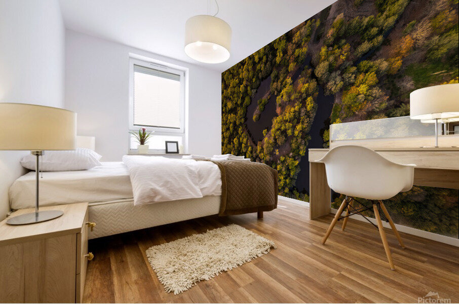 Water shapes Mural print