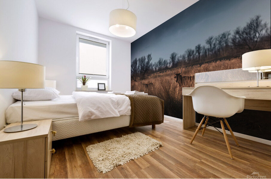 Black bulls Mural print