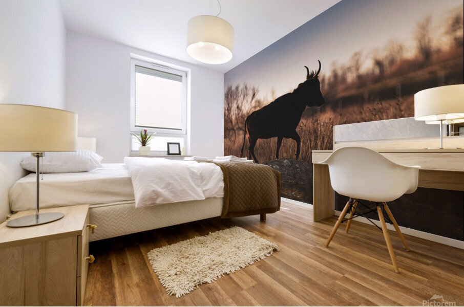 Black bull Mural print