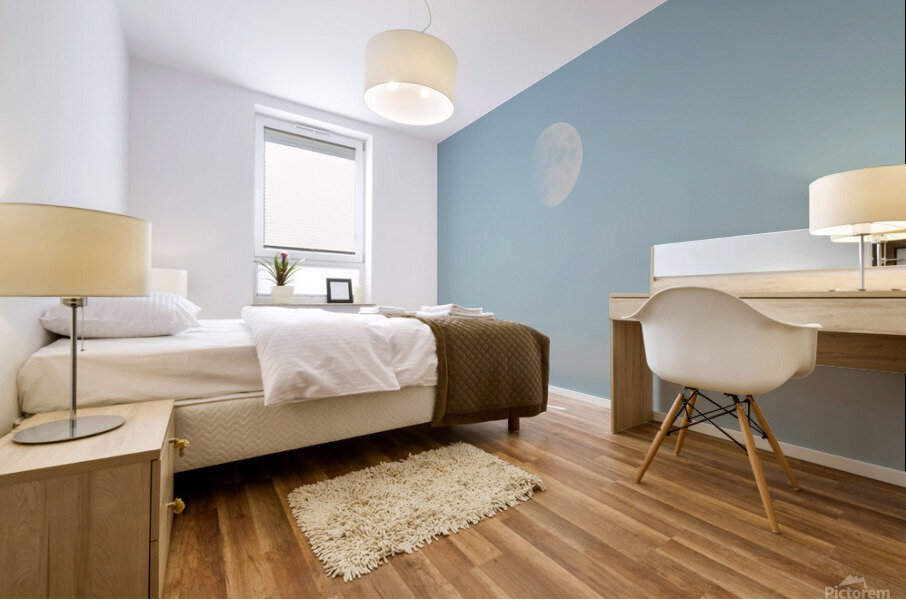 Soft Mural print