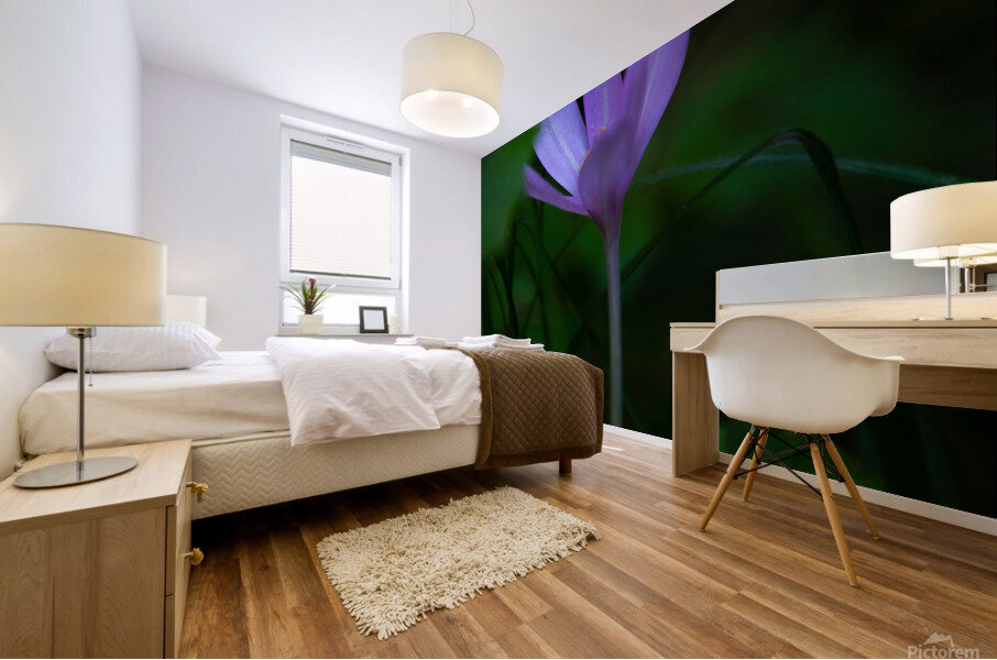 Violet Gem Mural print