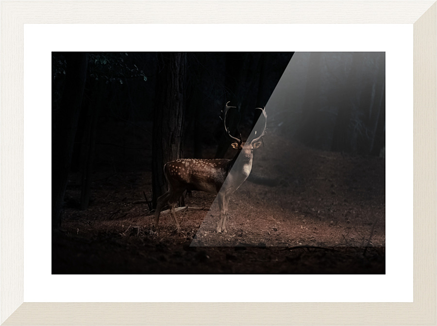  Fine Art print