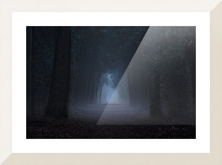 Dark Woods Picture Frame print