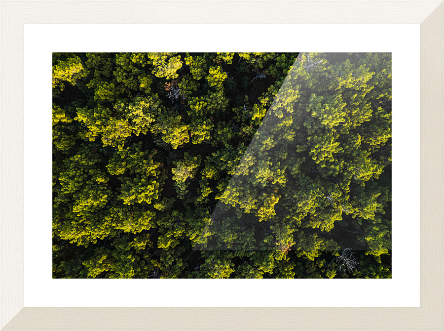 Greens Picture Frame print