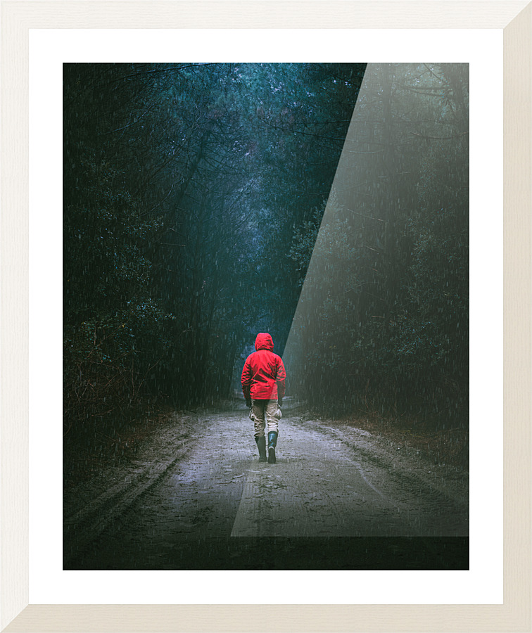 Fine Art print