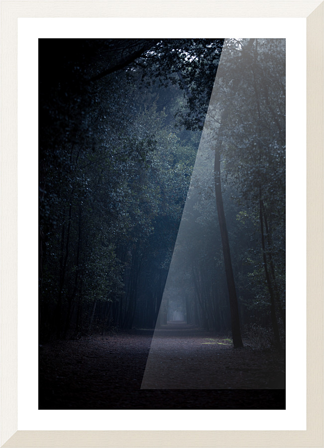 Dark woods Picture Frame print