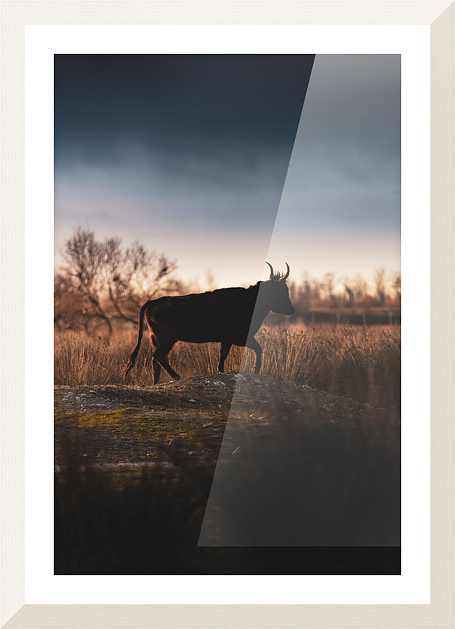  Fine Art print