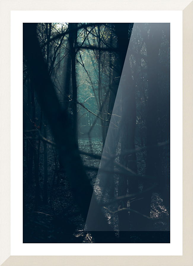  Fine Art print