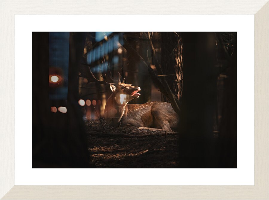  Fine Art print